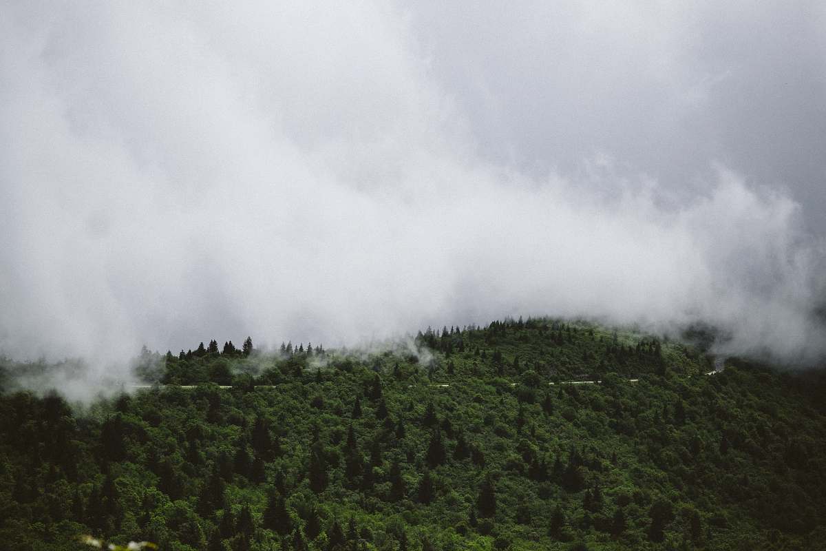 blue ridge parkway aerial photo of green trees and white clouds fog